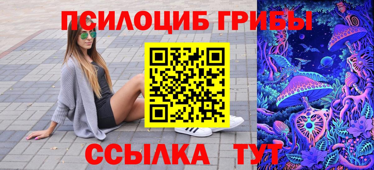 Каменка  купить закладку  Вход с VPN  Псилоцибиновые грибы Psilocybe 