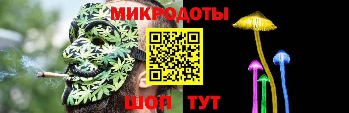 Галлюциногенные грибы Psilocybe Каменка